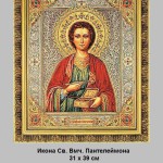 ikona-sv-vmch-pantelejmona-31h39